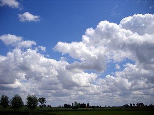 Roesbrugge2009061901