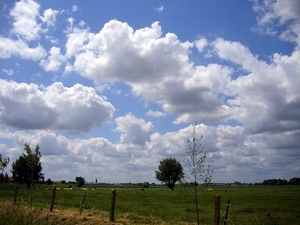 Roesbrugge2009061903