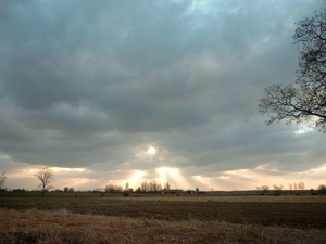 Roesbrugge2007110901