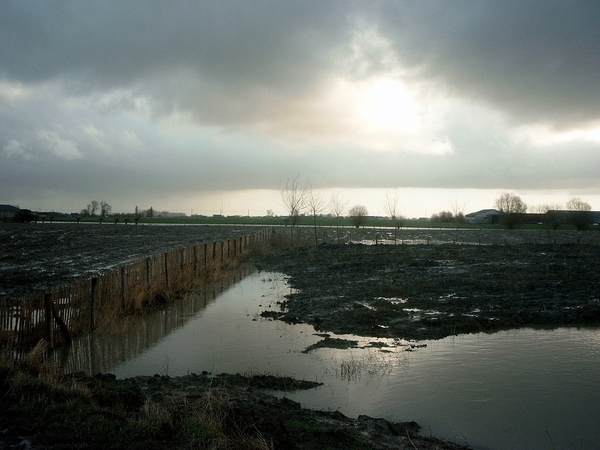 Roesbrugge2007121102