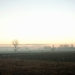 Roesbrugge2007121201