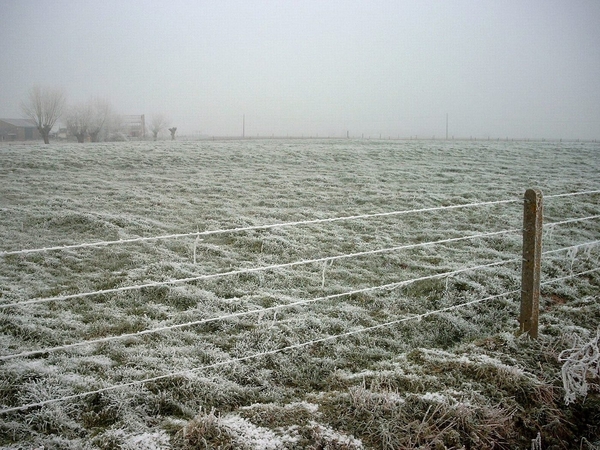 Roesbrugge2007122111