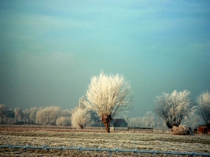 Roesbrugge2007122124