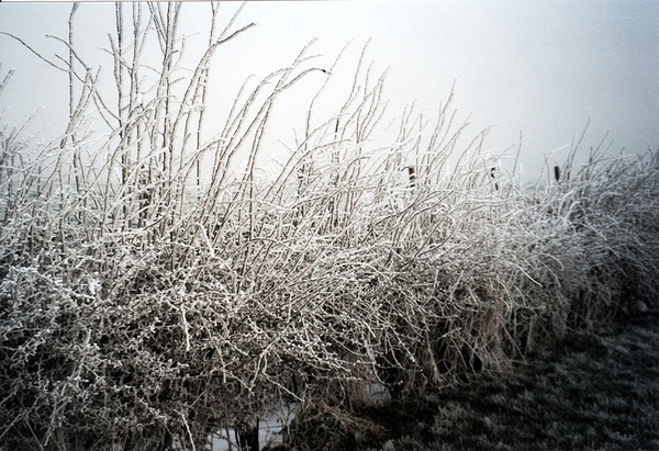 Roesbrugge2007122161