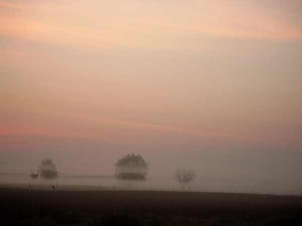 Roesbrugge20080427SIMG1631