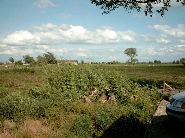 Roesbrugge20080528SIMG1647