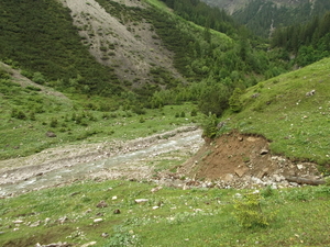 Natuurbeelden