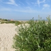 2013-08-21 Oostduinkerke 023