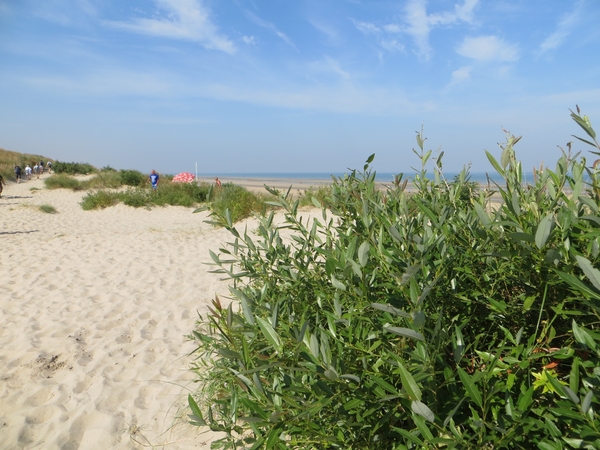 2013-08-21 Oostduinkerke 023