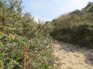 2013-08-21 Oostduinkerke 026