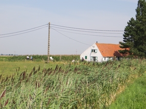 2013-08-21 Oostduinkerke 029