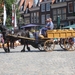 IMG_2700-hoorn