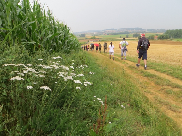 2013-08-22 Poperinge 015