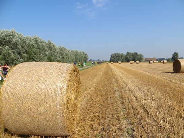 2013-08-23 Diksmuide 017