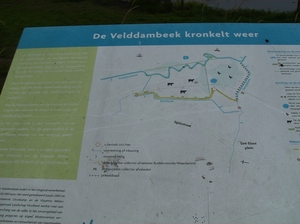 Waardamme Augustus 2013 008