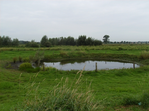 Waardamme Augustus 2013 009