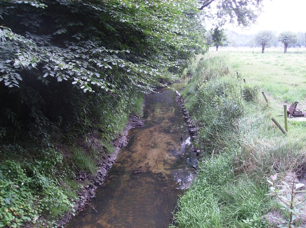 Waardamme Augustus 2013 015