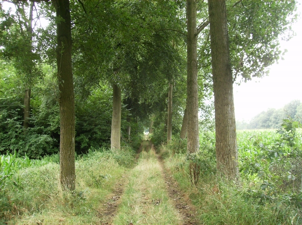 Waardamme Augustus 2013 017