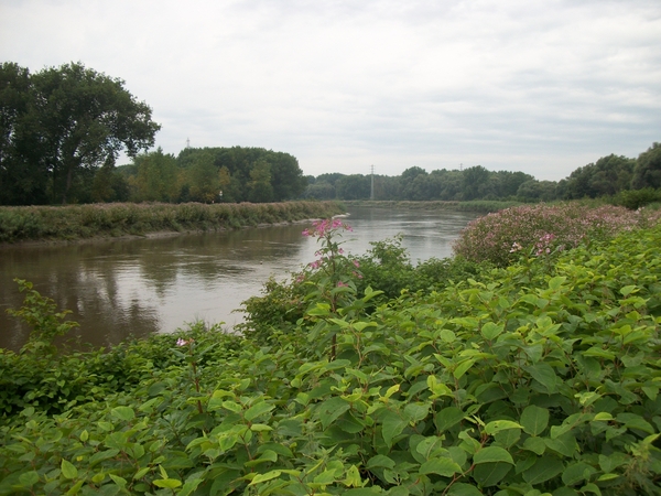 020-Netedijk in Rumst