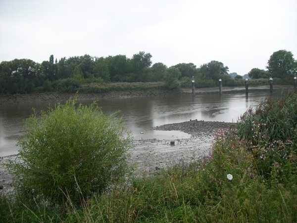 118-Oude Netearm in Rumst