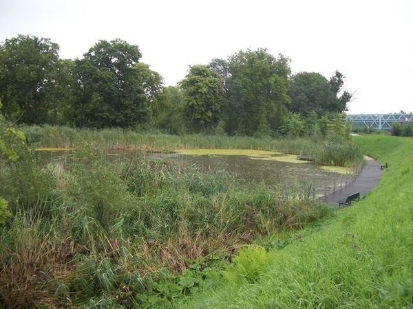 121-Recreatiegebied-Battenbroek-Rumst