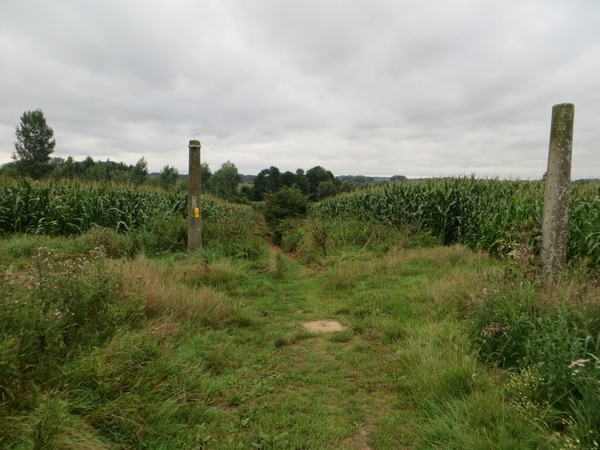 2013-08-25 Galmaarden 011