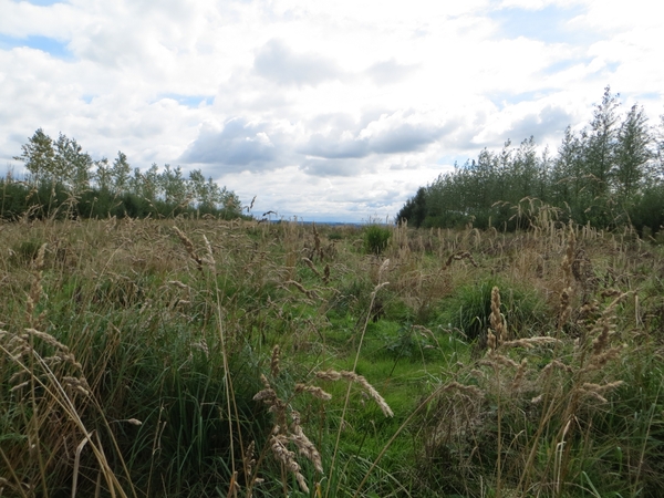 2013-08-25 Galmaarden 023