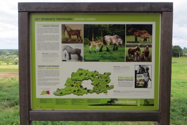 2013-08-25 Galmaarden 026