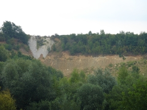 P1000937