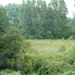 P1000938