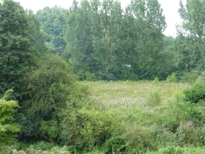 P1000938