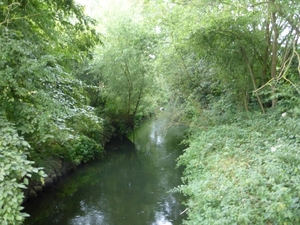 P1000942