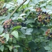 P1000945