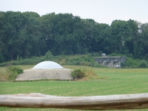 P1000954