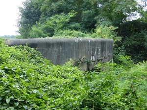 P1000956