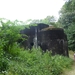 P1000957