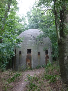 P1000960