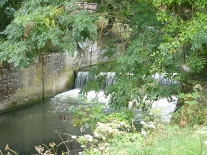 P1000973