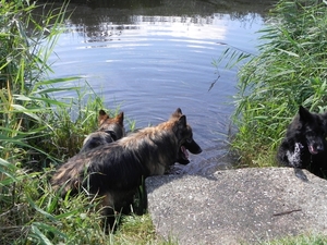 zo lekker in het water