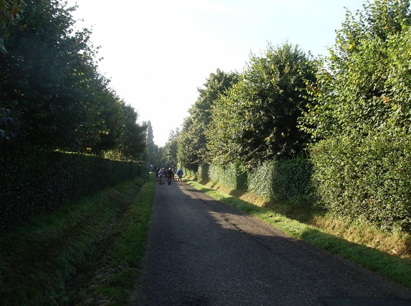 Lier Augustus 2013 002