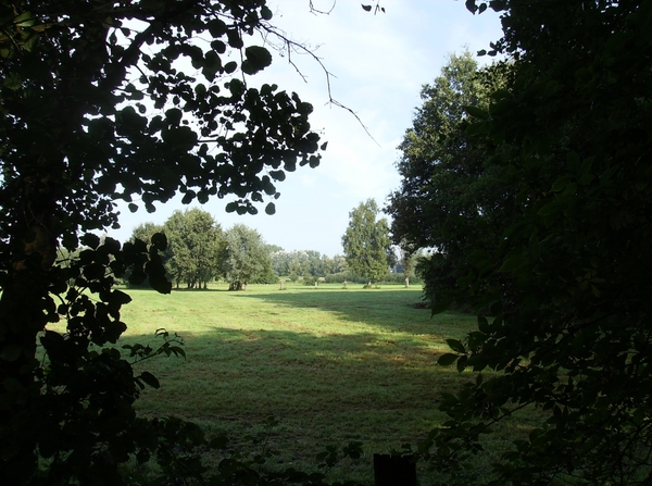 Lier Augustus 2013 013