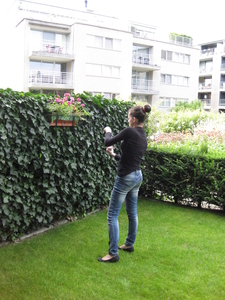 91) Sarah in actie