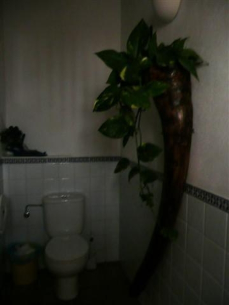 20110225 Tenerife  442
