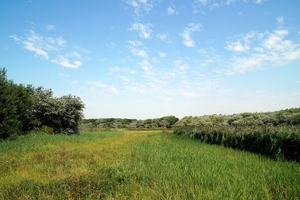 Zicht Natuurpark