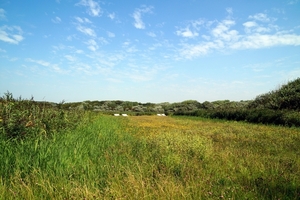 Zicht Natuurpark