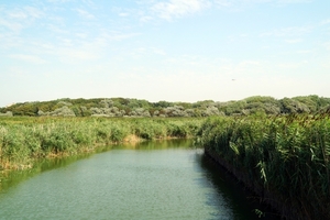 Zicht Natuurpark