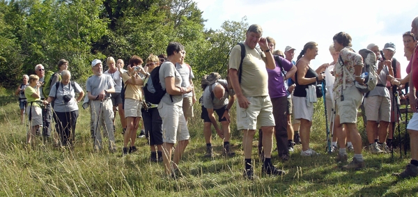 Braunlingen aug 2013 (86)