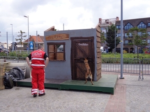 Werken met Rescue Dogs