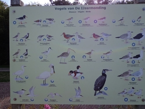 Vogels van De Ijzermonding