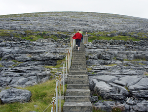 Burren - karstlandschap